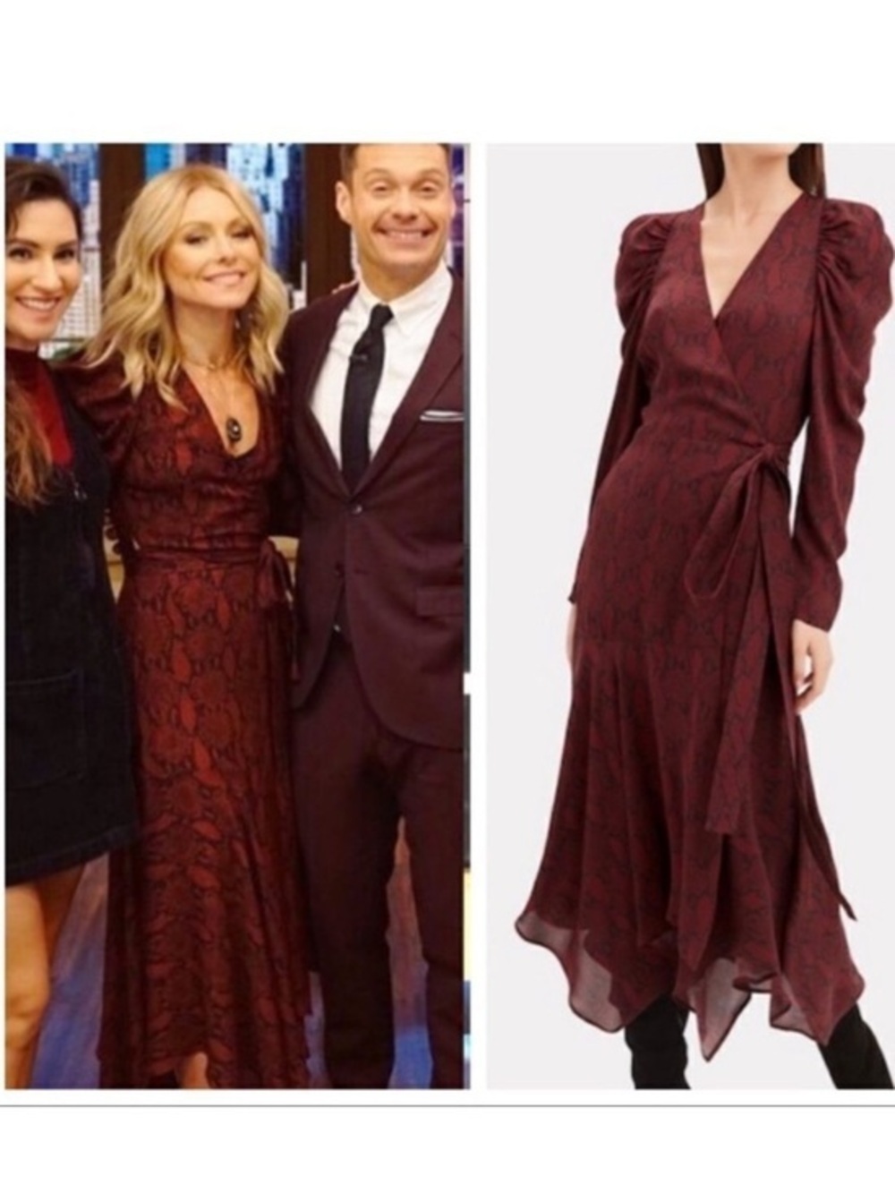 A.L.C. Tianna Snake Print Maxi Wrap Dress, 100% Silk, ASO Kelly Ripa 10 NWOT
